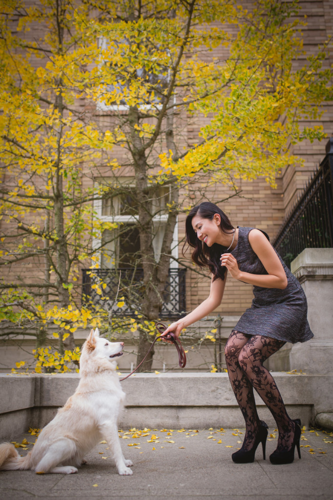 dog photographer san francisco california