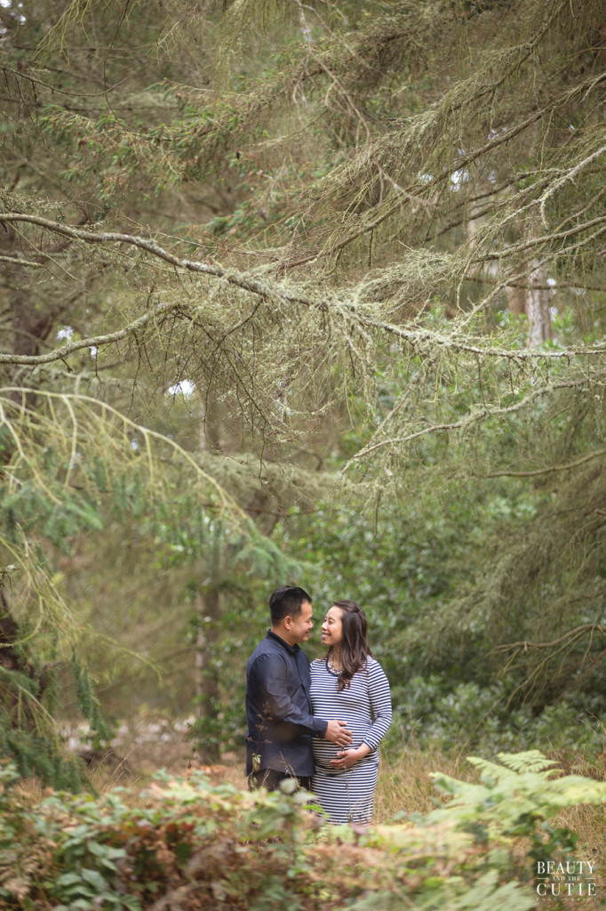 bayarea sf pregnancy maternity photo photographer