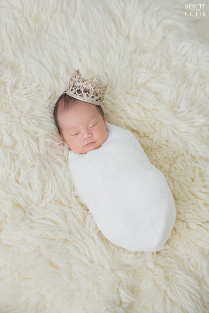 san francisco los altos los gatos newborn family photographer