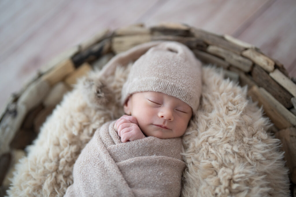 san francisco bay area newborn studio photographer