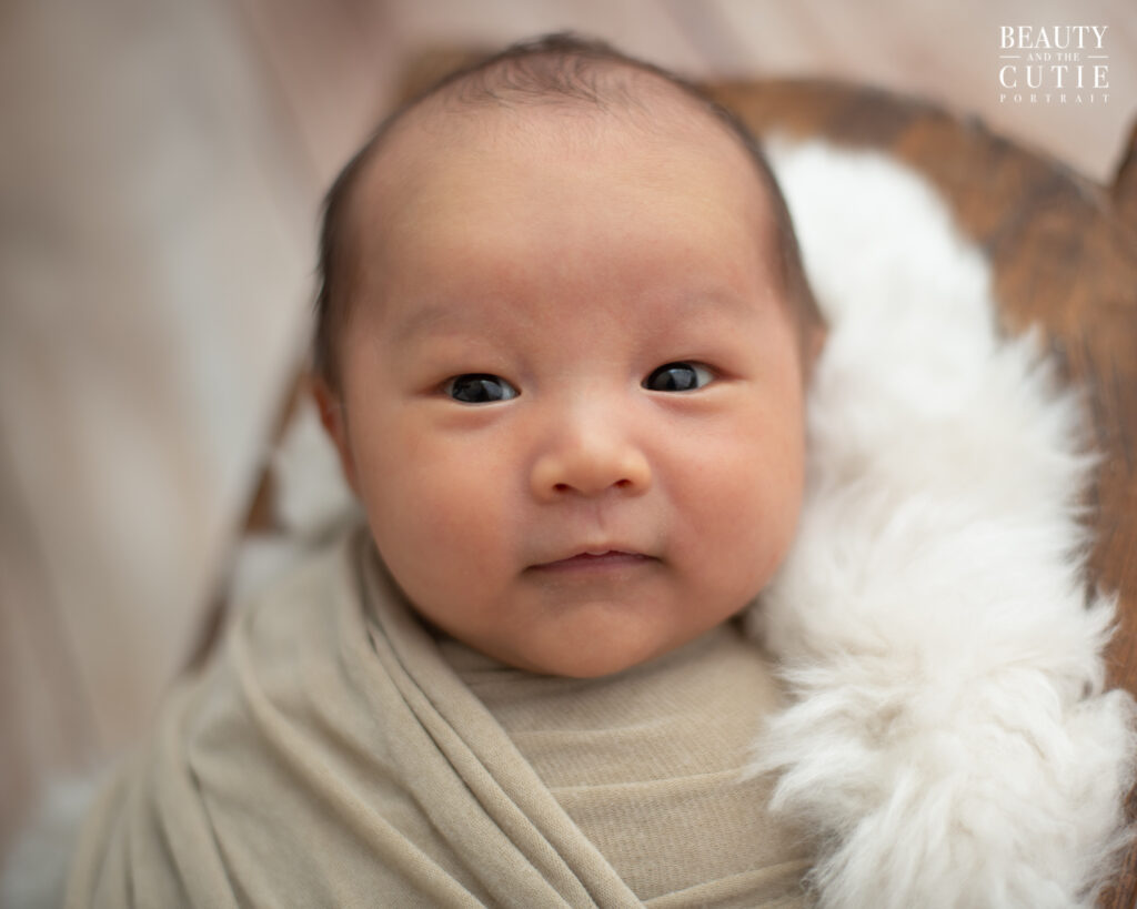 sf bay area newborn photographer studio